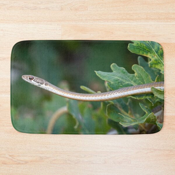Item preview, Karoo Sand Snake (Psammophis notostictus) designed and sold by Pixel Press Prints.