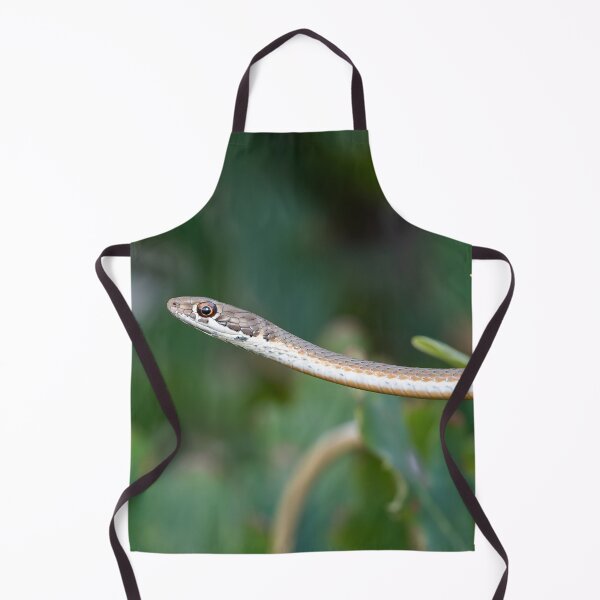 Item preview, Karoo Sand Snake (Psammophis notostictus) designed and sold by Pixel Press Prints.