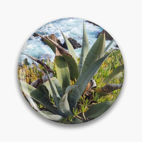 Item preview, Planta de agave en Chile designed and sold by MinaBohl.