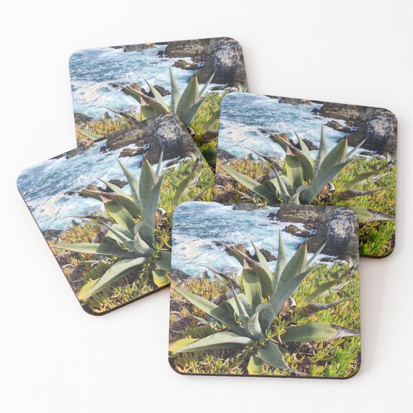 Item preview, Agave plant in Chile designed and sold by MinaBohl.