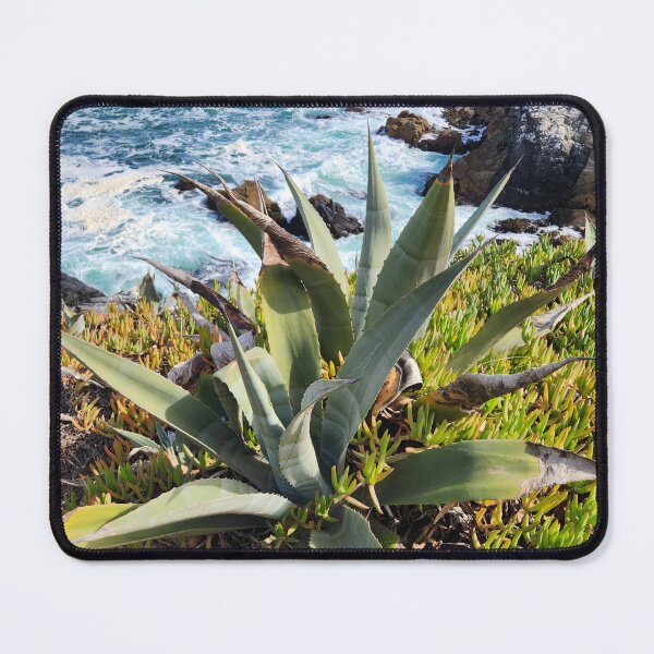 Item preview, Agave plant in Chile designed and sold by MinaBohl.