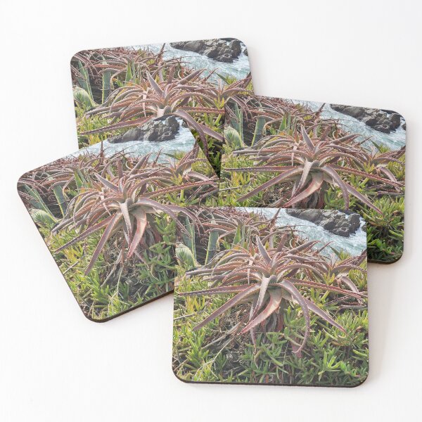 Item preview, Plants in Chile designed and sold by MinaBohl.