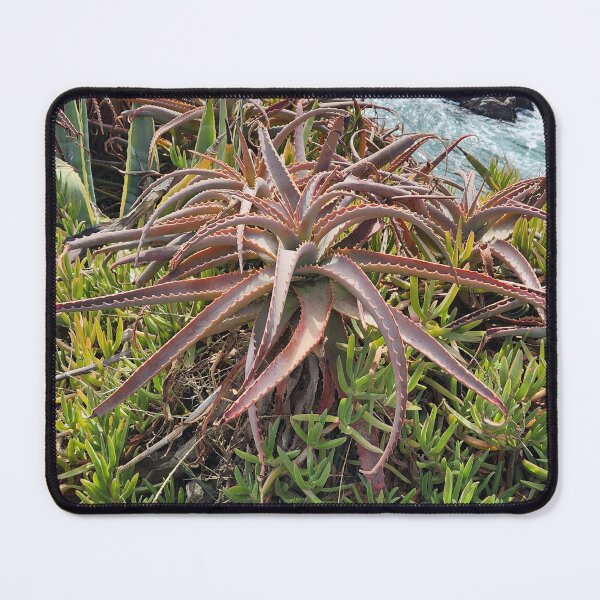 Item preview, Plants in Chile designed and sold by MinaBohl.