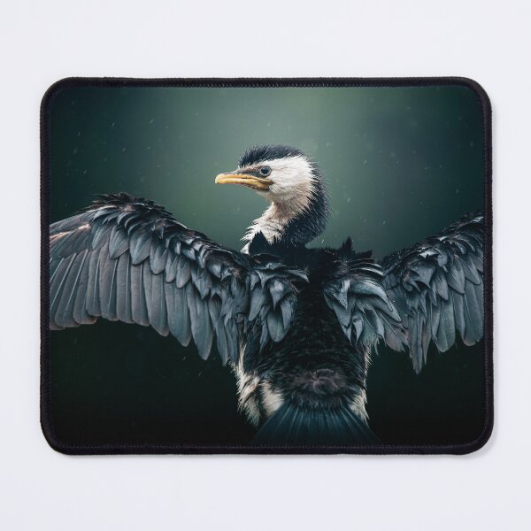 Item preview, Wet Little Pied Cormorant designed and sold by robdwildlife.