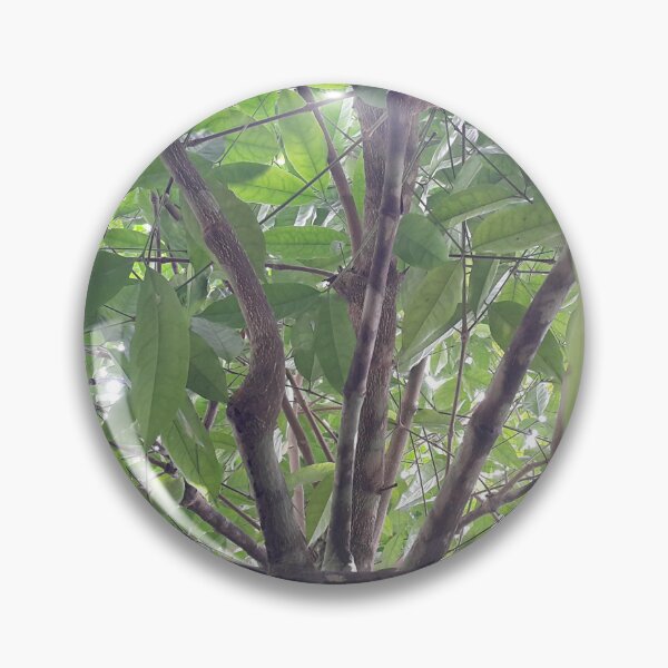 Item preview, View of a shot tree in the forest. designed and sold by Yusuf-Design.