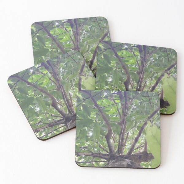 Item preview, View of a shot tree in the forest. designed and sold by Yusuf-Design.