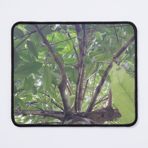 Item preview, View of a shot tree in the forest. designed and sold by Yusuf-Design.