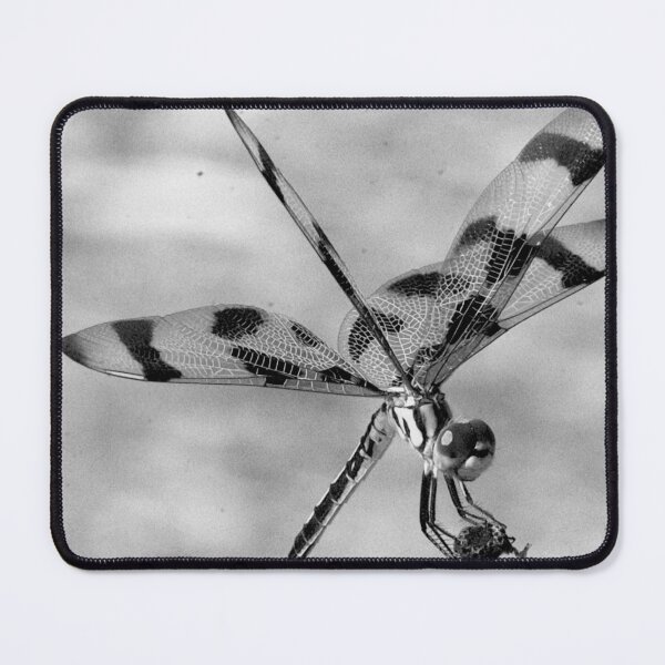Item preview, Halloween Pennant Dragonfly Black And White  designed and sold by MercerImages.