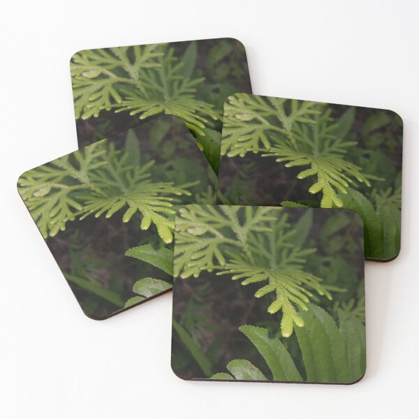 Item preview, Green fern plant with detailed leaves designed and sold by Yusuf-Design.