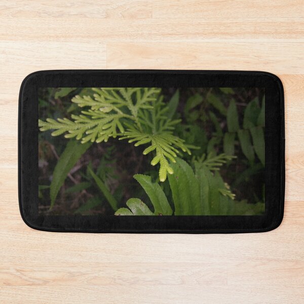 Item preview, Green fern plant with detailed leaves designed and sold by Yusuf-Design.