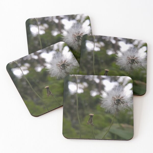 Item preview, Small plant with white thin flowers on a blurred background. designed and sold by Yusuf-Design.