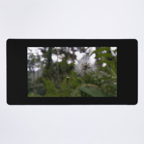 Item preview, Small plant with white thin flowers on a blurred background. designed and sold by Yusuf-Design.