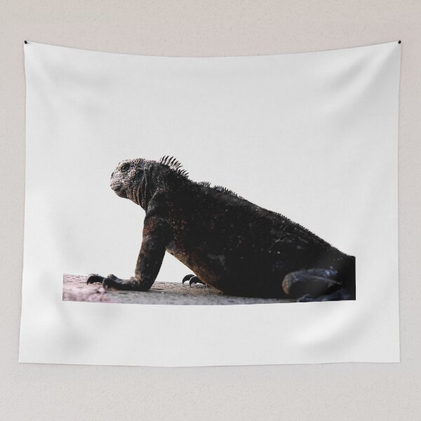 Item preview, Iguana designed and sold by Melville.Collective.