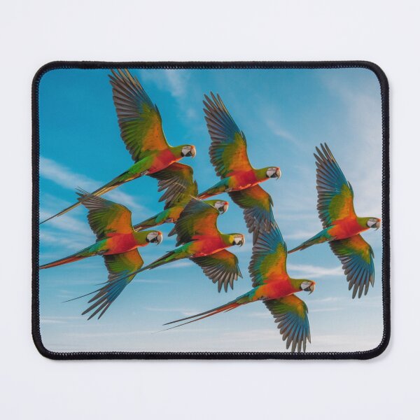 Item preview, Papageien im Flug designed and sold by Collection de trésors .