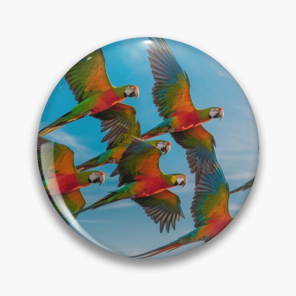 Item preview, Loros en vuelo designed and sold by Collection de trésors .