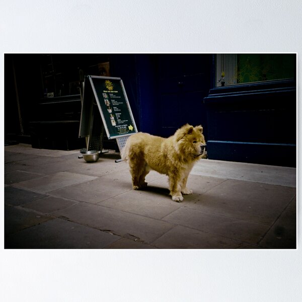 Item preview, Soho,London(lomo-lca)  designed and sold by Tony Day.
