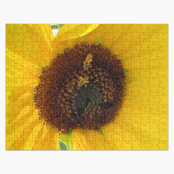 Artikel-Vorschau von Sonnenblume und Bienen, designt und verkauft von Debbie Schulte.