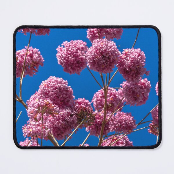 Item preview, Pink ype. designed and sold by Nino rocha fotografia.