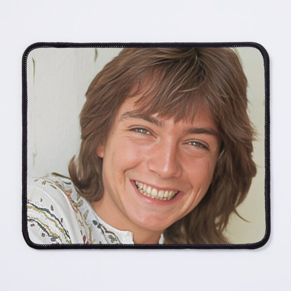 Item preview, David Cassidy Smile designed and sold by sarzerdesigns.