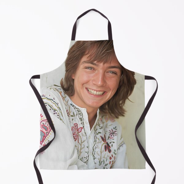 Artikelvorschau, David Cassidy Lächeln entworfen und verkauft von sarzerdesigns.
