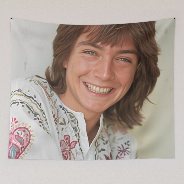 Item preview, David Cassidy Smile designed and sold by sarzerdesigns.
