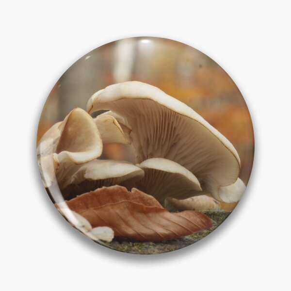 Item preview, Oyster Mushrooms on Log in Autumn designed and sold by WolfNoodles.