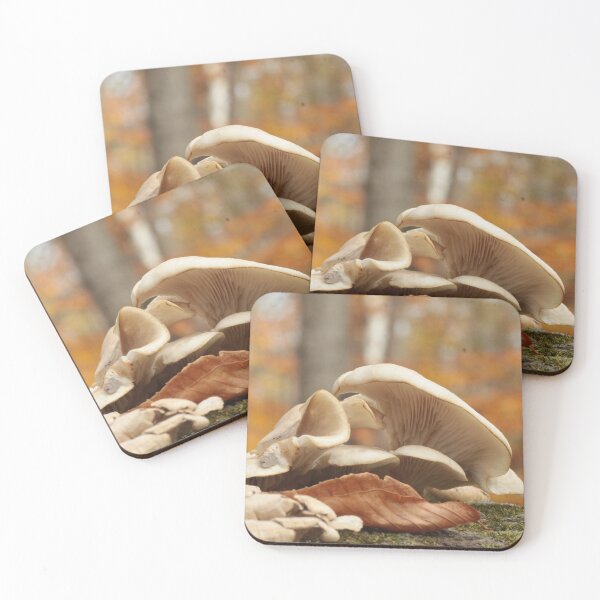 Item preview, Oyster Mushrooms on Log in Autumn designed and sold by WolfNoodles.