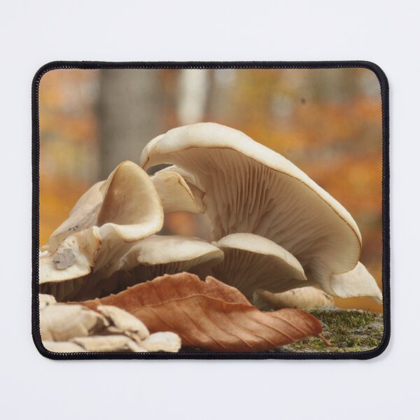 Item preview, Oyster Mushrooms on Log in Autumn designed and sold by WolfNoodles.