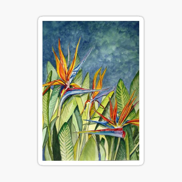 Aperçu de l'œuvre Oiseau de paradis créée et vendue par MyPerkyPrints.