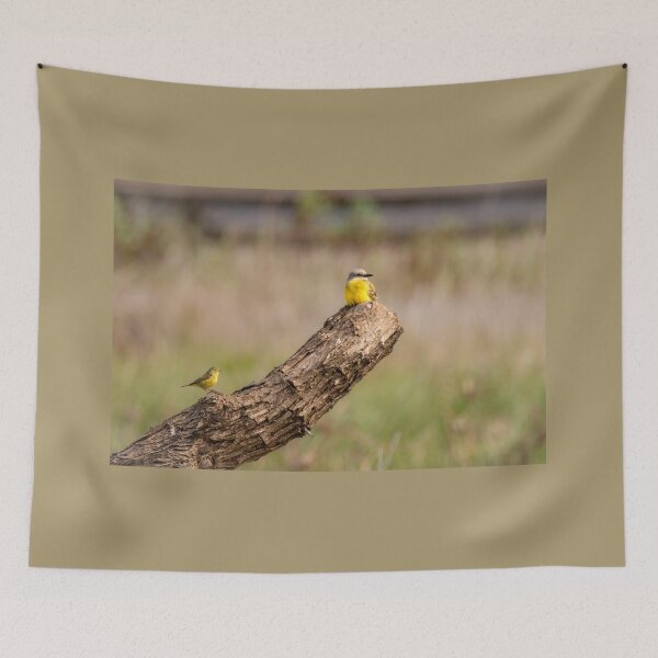 Item preview, Kingbird and Warbler Surprise designed and sold by Debra Martz.