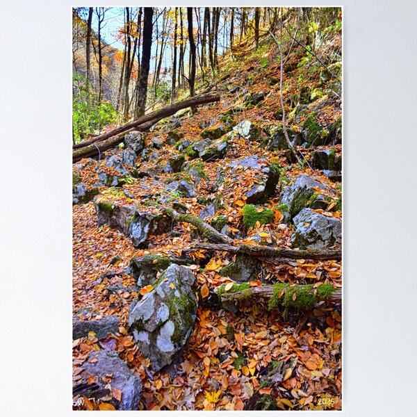 Item preview, Autumn Has Fallen designed and sold by LisaWootenPhoto.