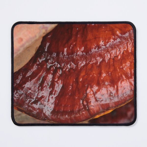 Item preview, Lacquered Red Reishi Mushroom on Log designed and sold by WolfNoodles.