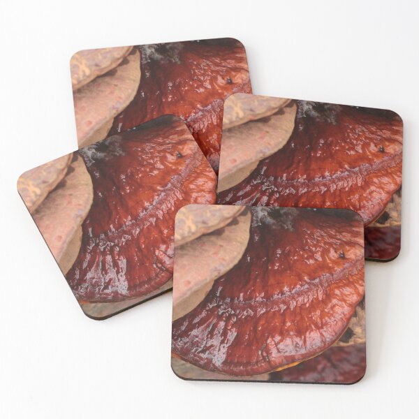 Item preview, Lacquered Red Reishi Mushroom on Log designed and sold by WolfNoodles.