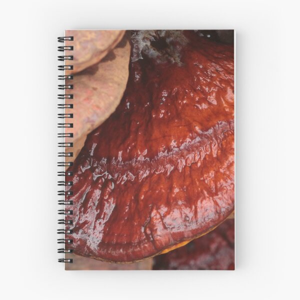 Item preview, Lacquered Red Reishi Mushroom on Log designed and sold by WolfNoodles.