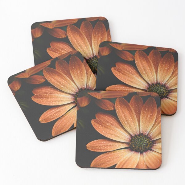 Item preview, Orange African Daisy designed and sold by Jann3s_Ts.