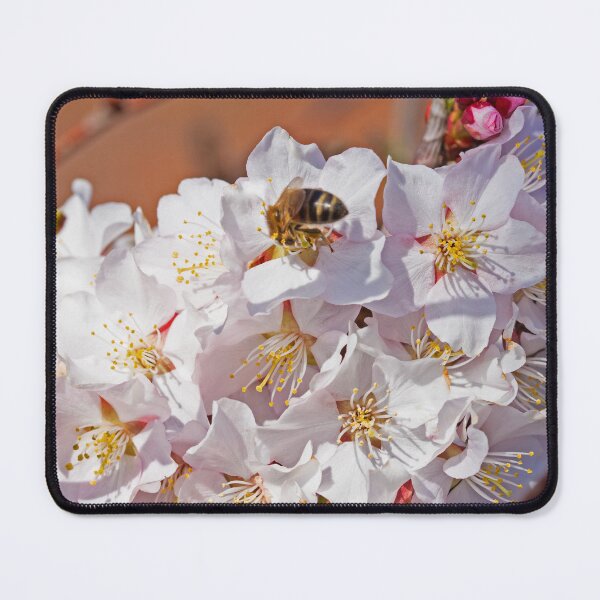 Item preview, A busy spring visitor designed and sold by jchanders.