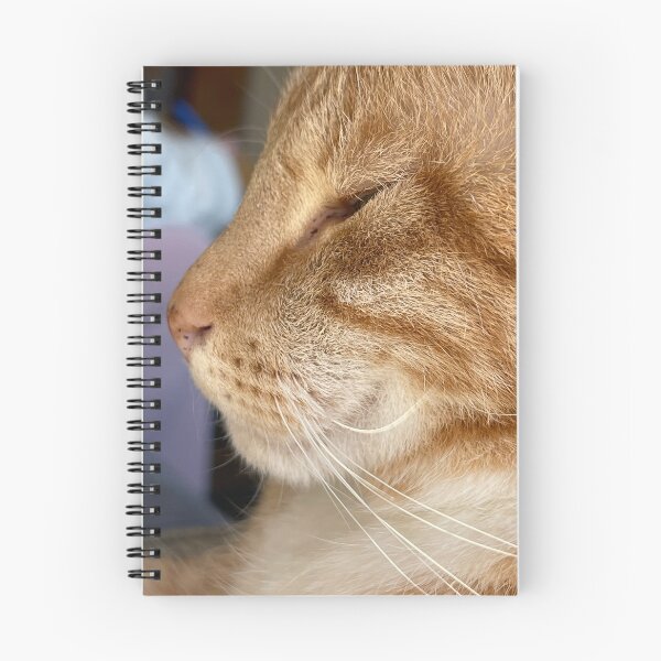 Item preview, Ginger cat designed and sold by LavaMu.