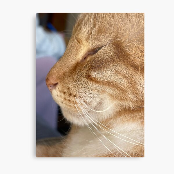 Item preview, Ginger cat designed and sold by LavaMu.