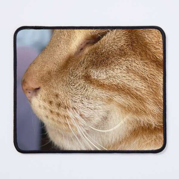 Item preview, Ginger cat designed and sold by LavaMu.