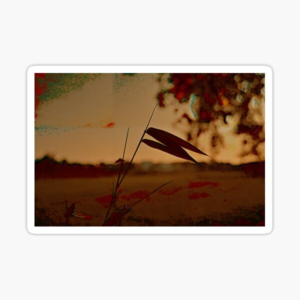 Item preview, Golden Sunset Leaves – Digital Fine Art Photo designed and sold by Chittara Arts.