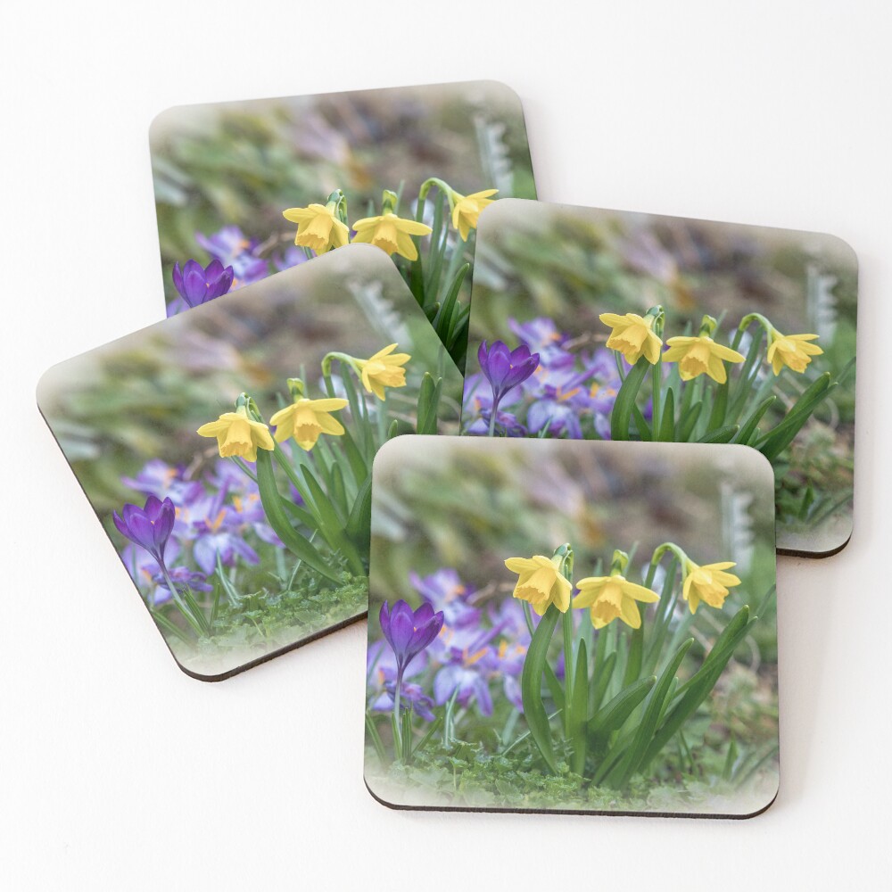 Item preview, Coasters (Set of 4) designed and sold by AlexJa.