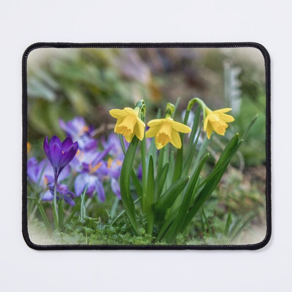Item preview, Spring Flowers   designed and sold by Jim Key.