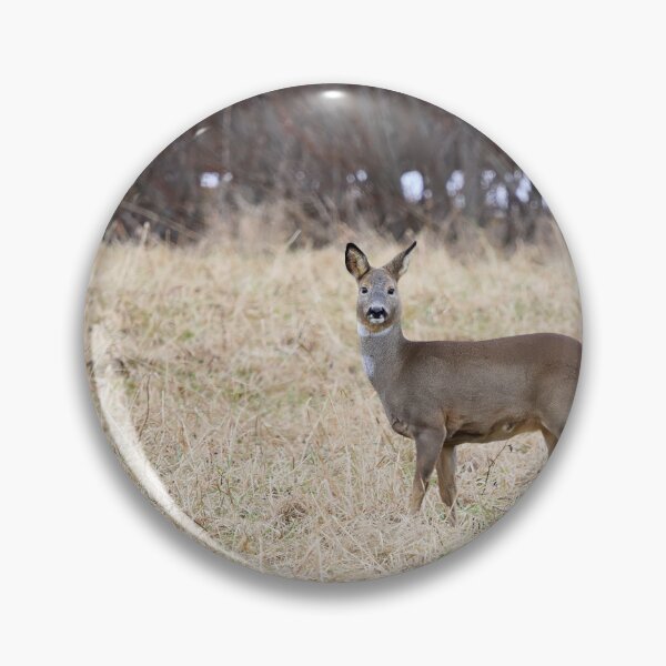 Item preview, Roe deer on the fields designed and sold by Jouko Lehto Photography.