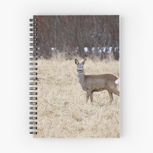 Item preview, Roe deer on the fields designed and sold by Jouko Lehto Photography.