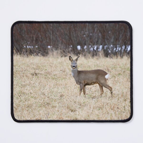 Item preview, Roe deer on the fields designed and sold by Jouko Lehto Photography.