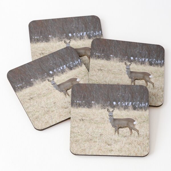 Item preview, Roe deer on the fields designed and sold by Jouko Lehto Photography.