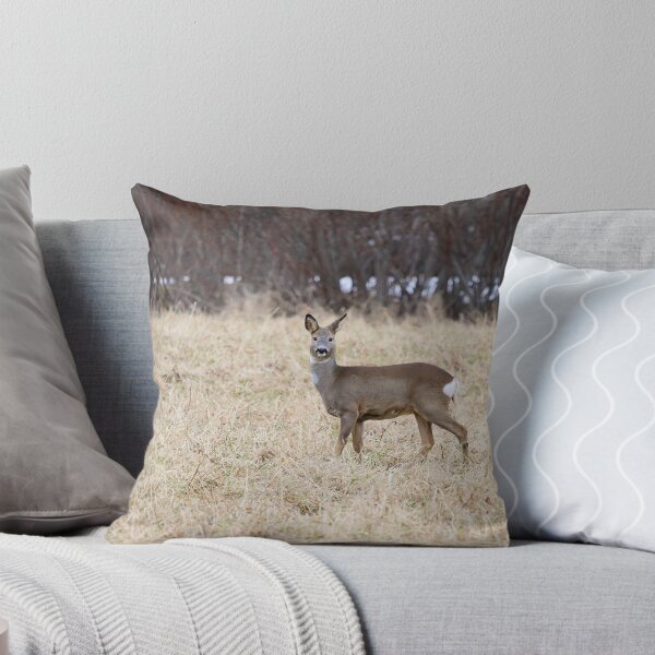 Item preview, Roe deer on the fields designed and sold by Jouko Lehto Photography.