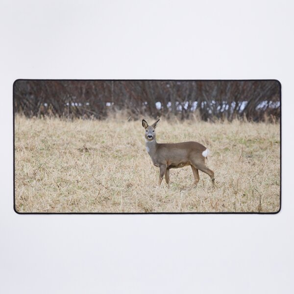 Item preview, Roe deer on the fields designed and sold by Jouko Lehto Photography.