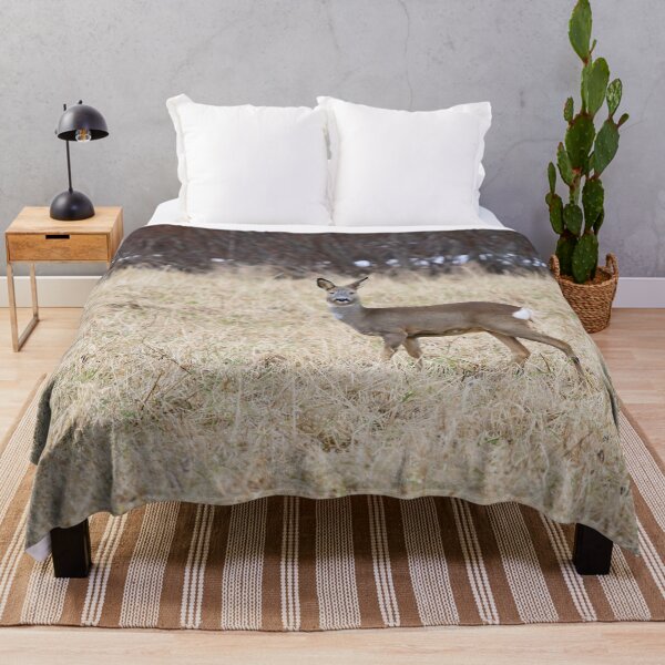 Item preview, Roe deer on the fields designed and sold by Jouko Lehto Photography.
