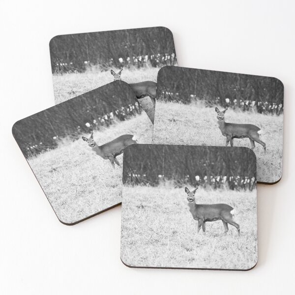 Item preview, Roe deer on the fields bw designed and sold by Jouko Lehto Photography.